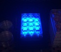 Blue light shines on cell cultures